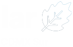 LAR_CDMX_SUR_150
