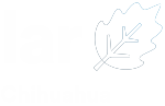 LAR_CHIHUAHUA_150
