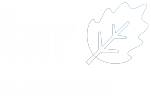 LAR_GUADALAJARA_150